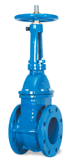 Rising Stem Gate Valve